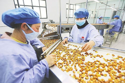 食品厂房选址原则及装修布局要点 打造安全合规的生产环境